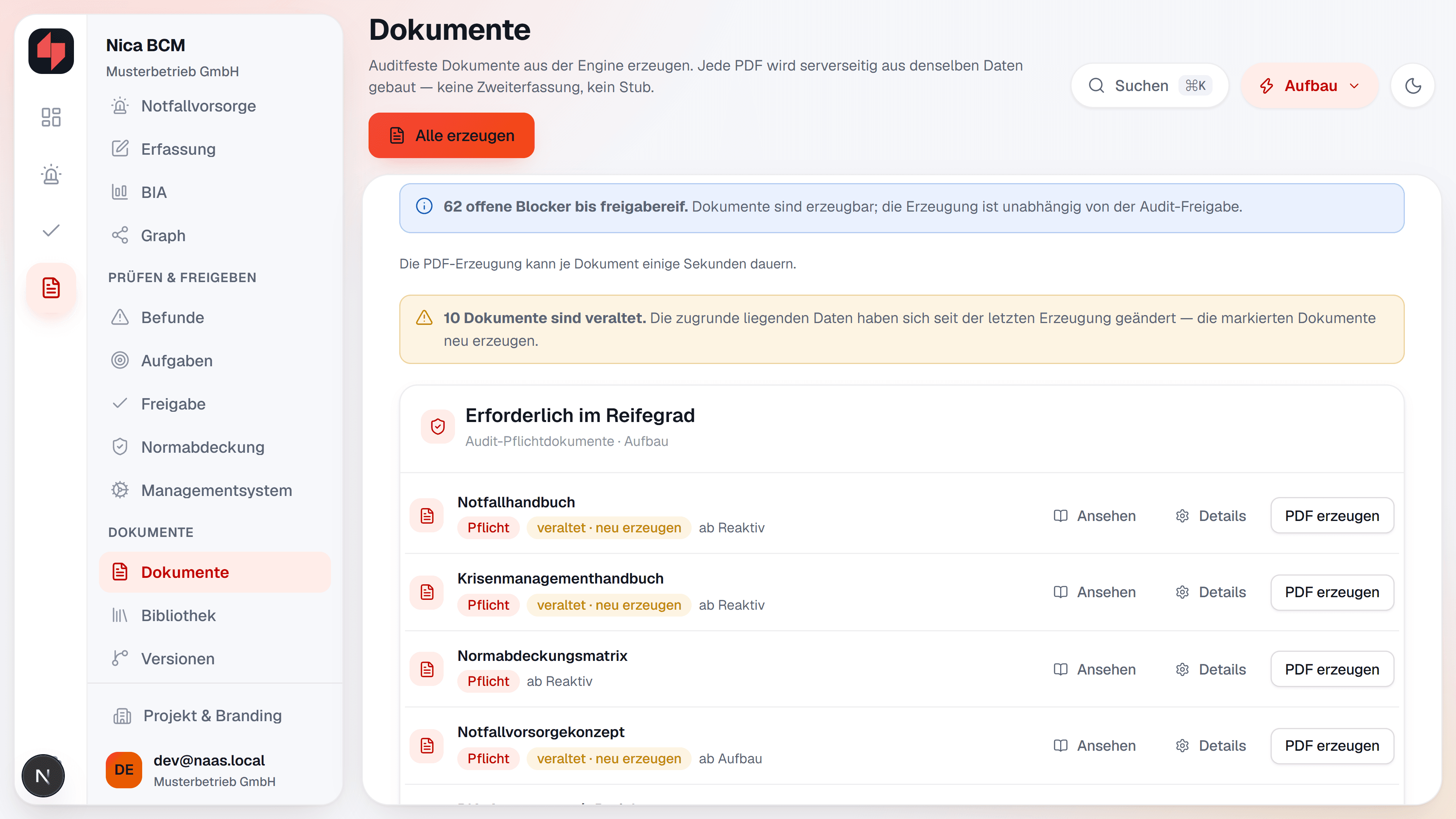 NICA BCM: Dokumentenübersicht, Beispieldaten